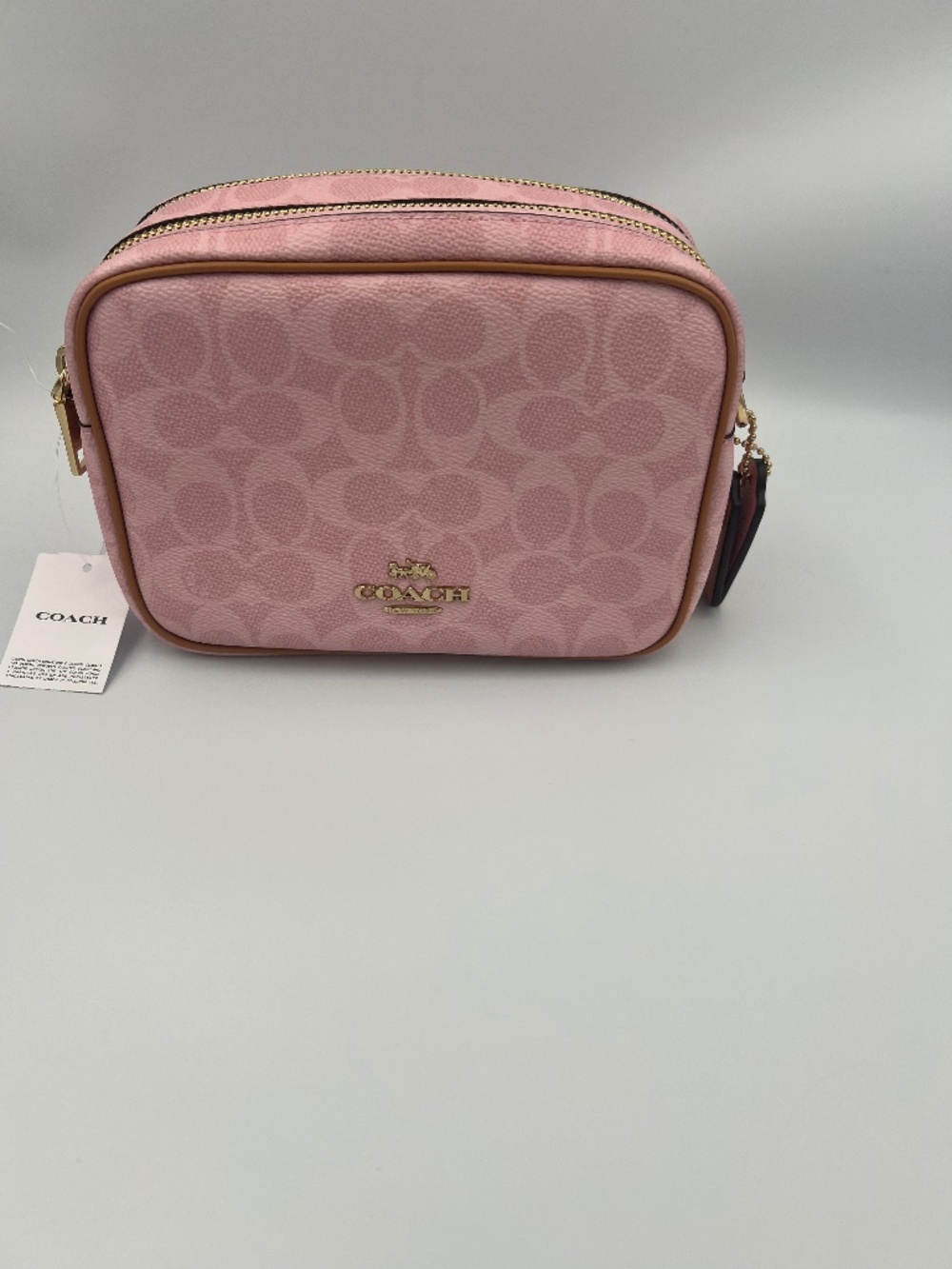 Coach Mini Carey Crossbody Bag In Signature Canvas With Charms